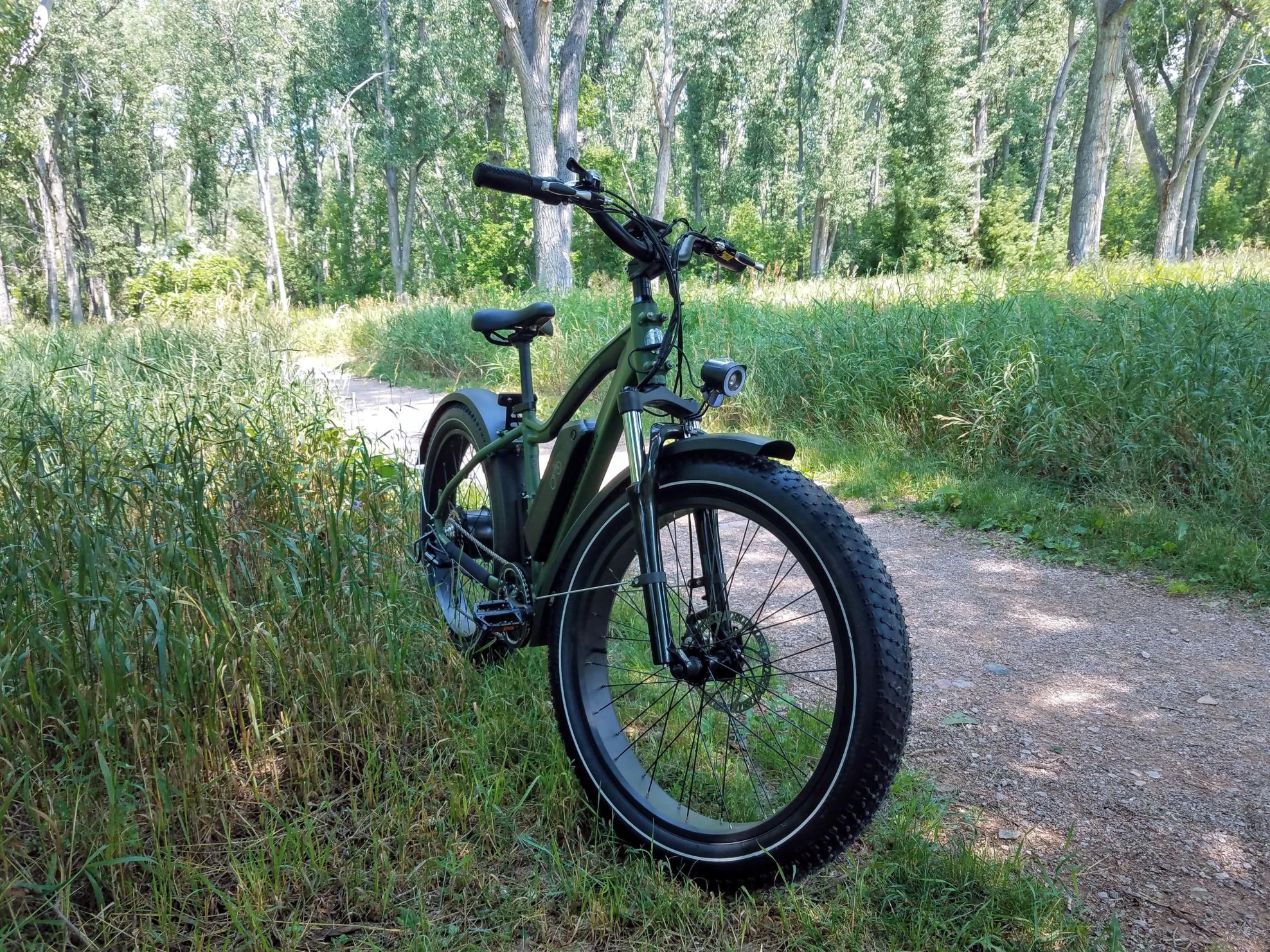 2021 Rad Power Bikes Rad Rover 5 Green
