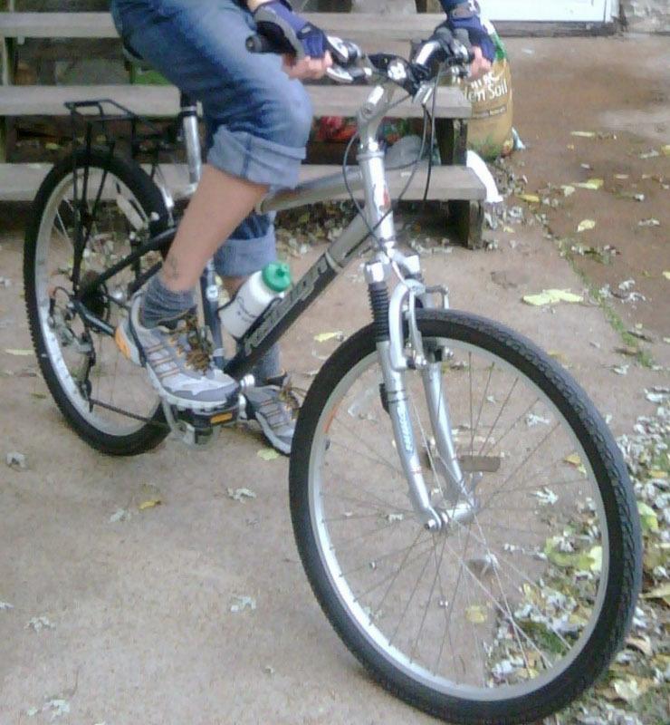 Raleigh  Black