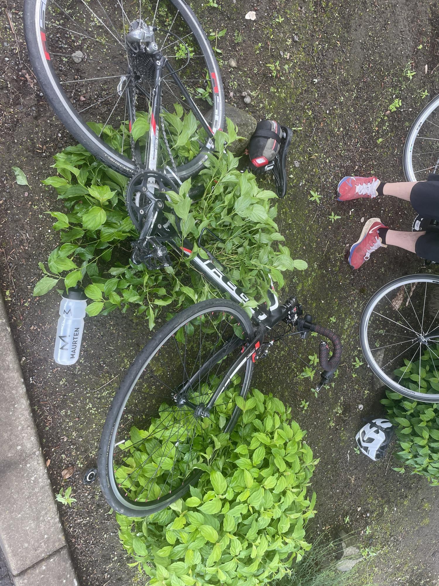 Felt Superlight Black and Red