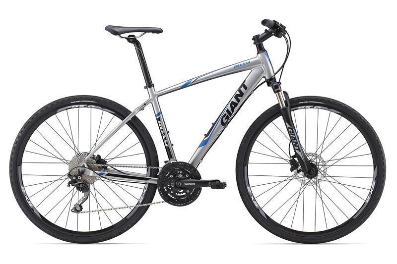 2015 Giant Roam 0 Silver or Gray