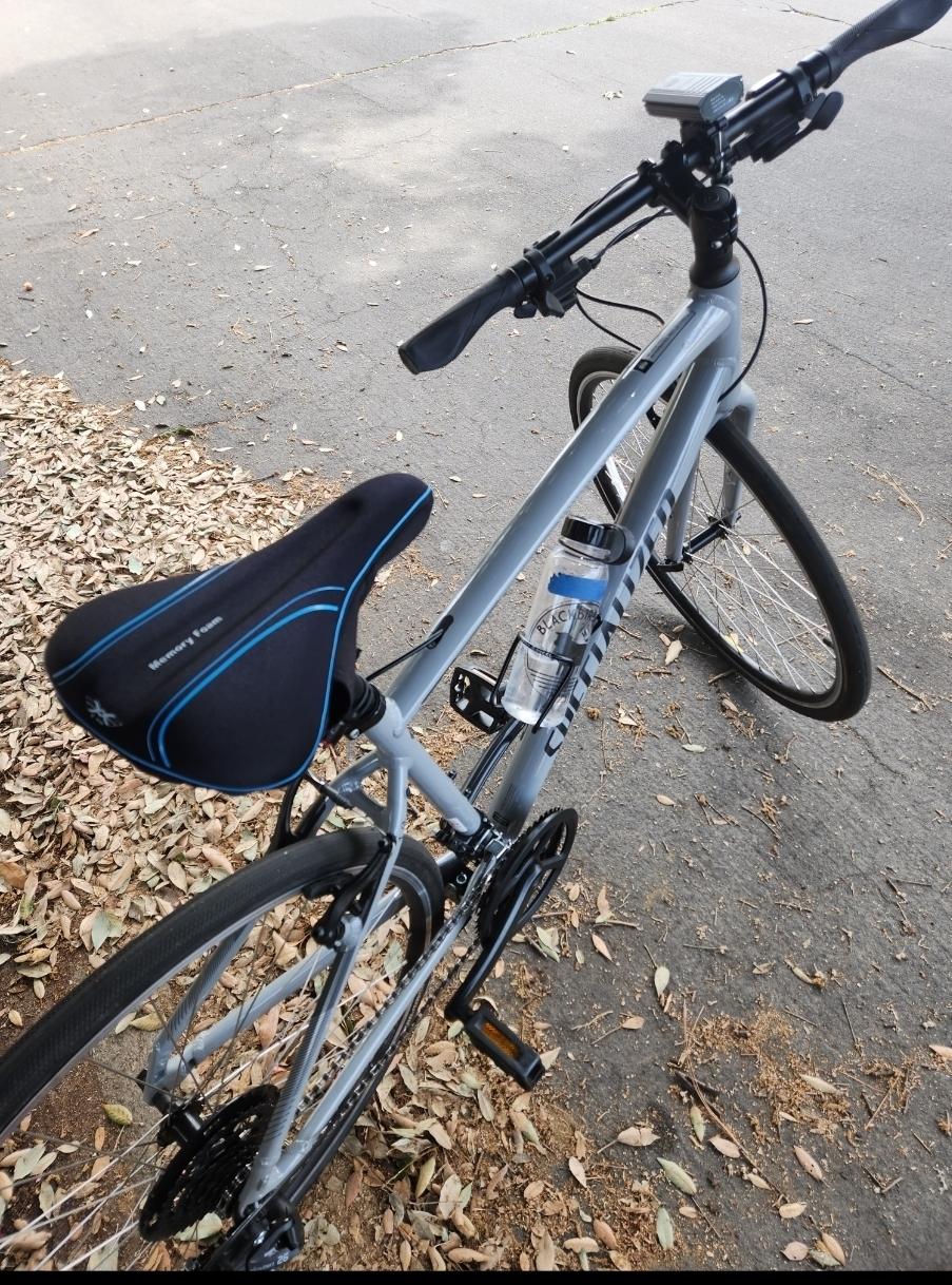 Other Specialized Sirrus Silver, gray or bare metal