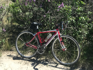 2015 Cannondale SYNAPSE 105 Red