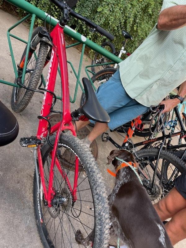 Diamondback Overdrive Red