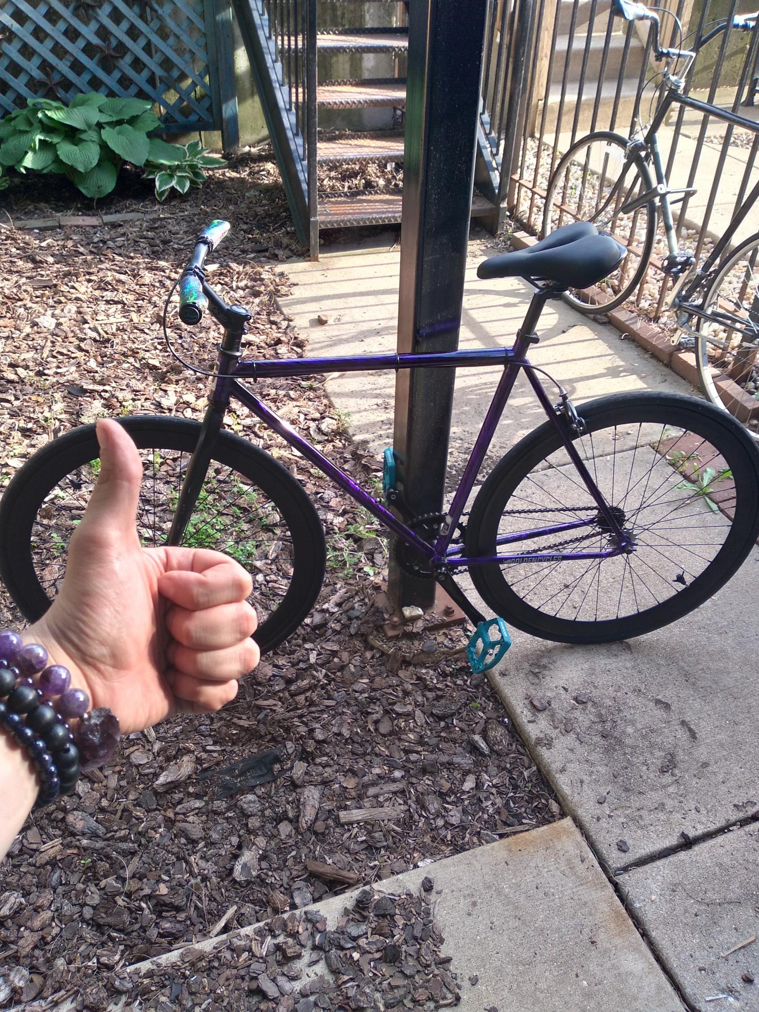 2023 Golden Cycles 55cm Purple and Black