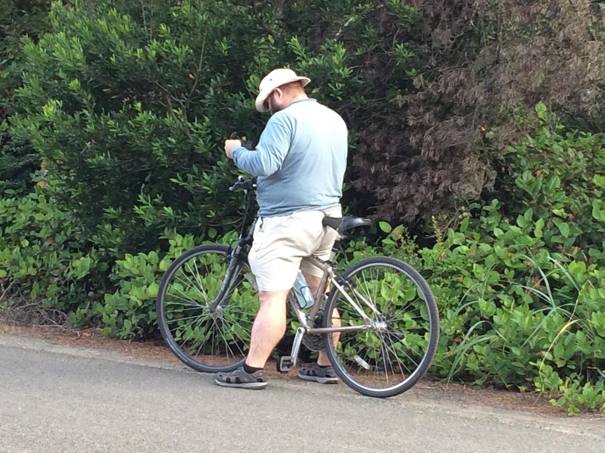 2005 Trek 7300 Silver or Gray