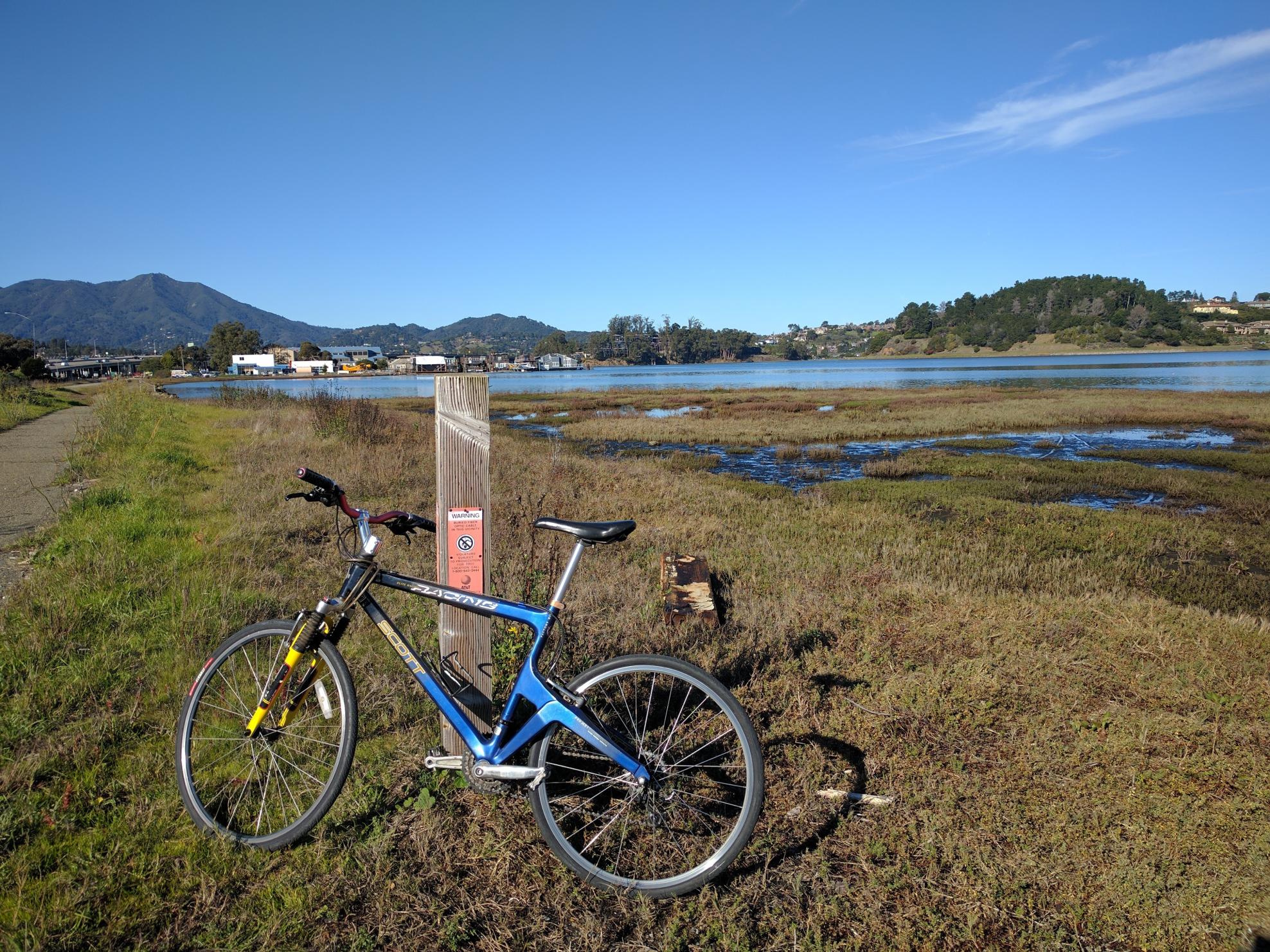 2008 SCOTT Endorphin Blue