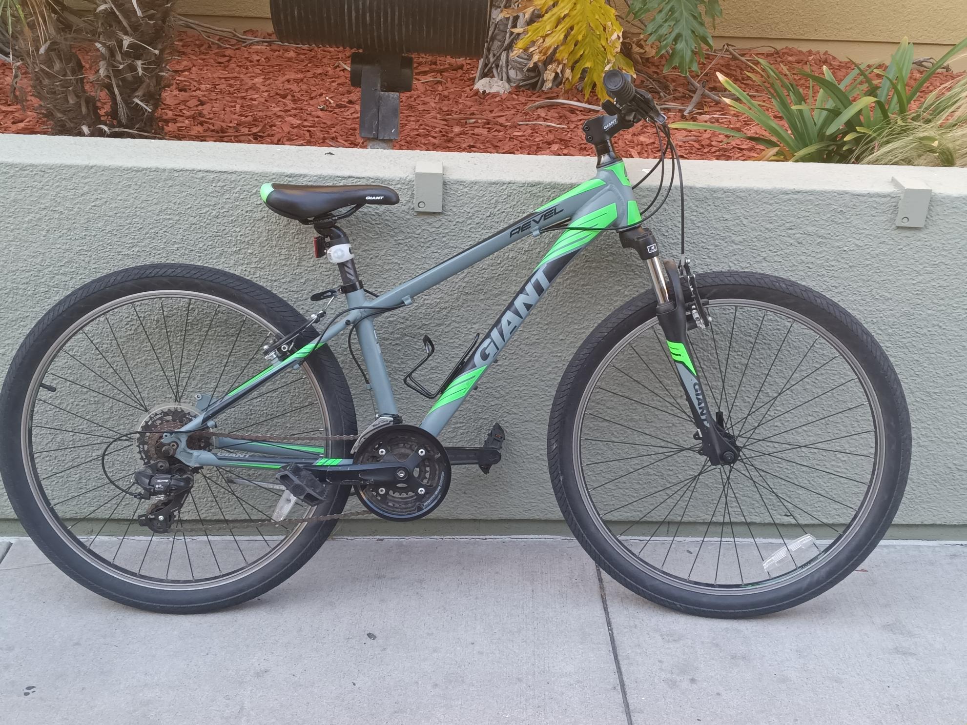 Giant Revel 1 Silver, gray or bare metal and Black