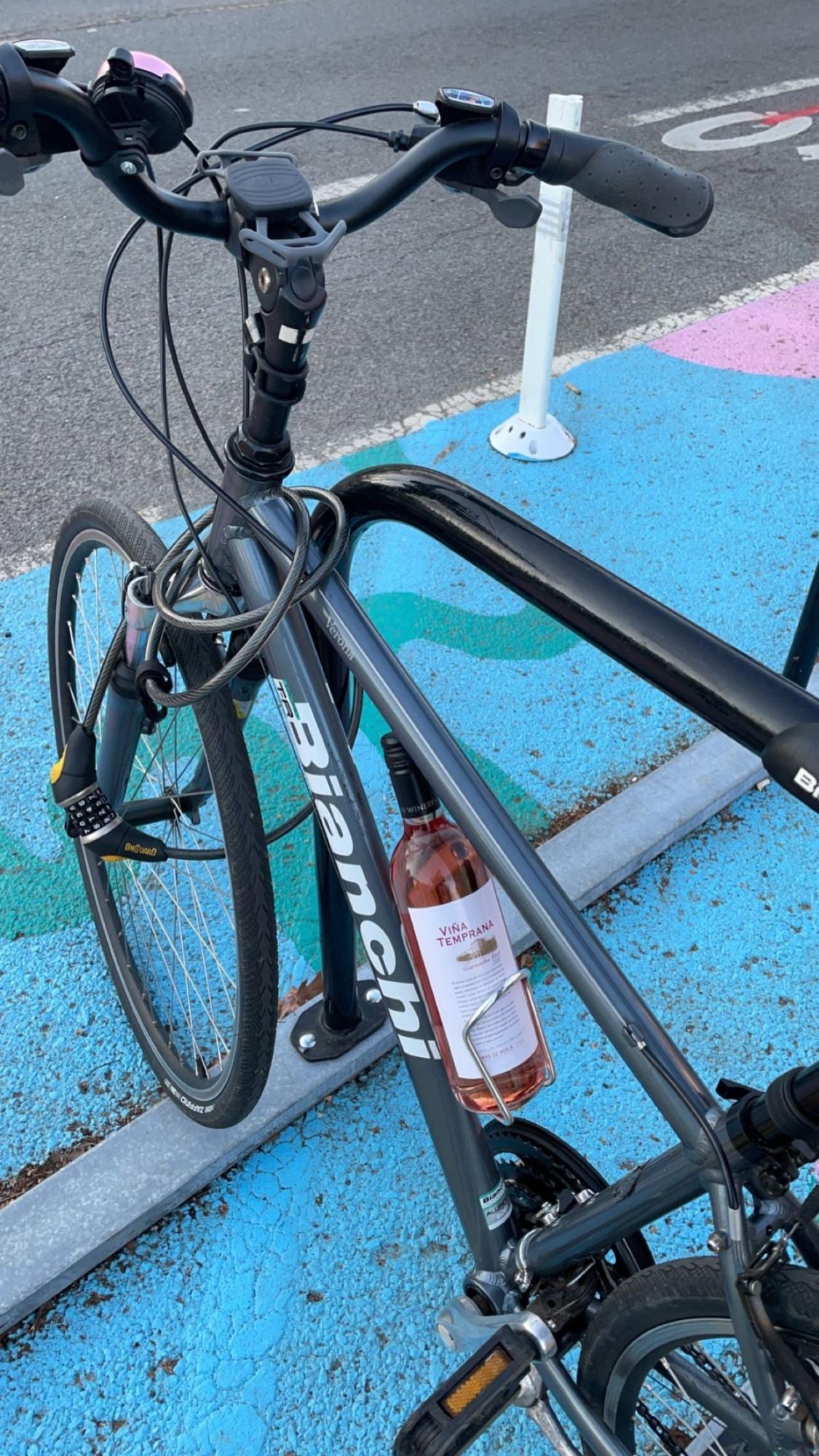Bianchi Verona Silver, gray or bare metal