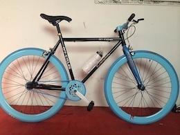 Ivy cycles Black