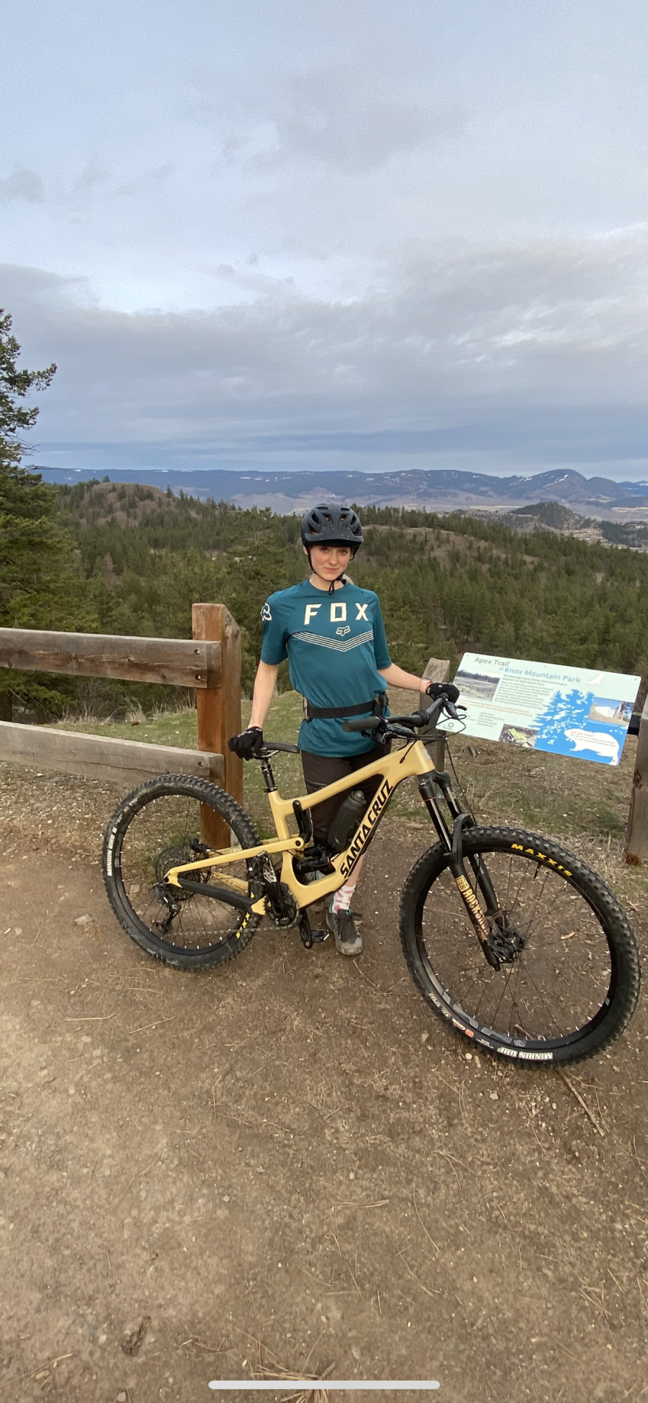 2018 Santa Cruz Nomad Brown