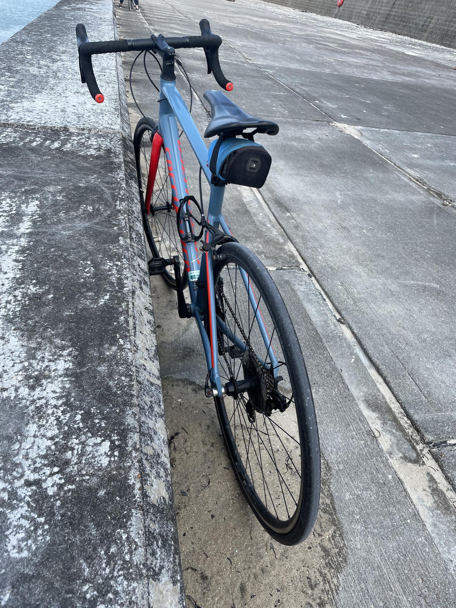 2019 Specialized Blue