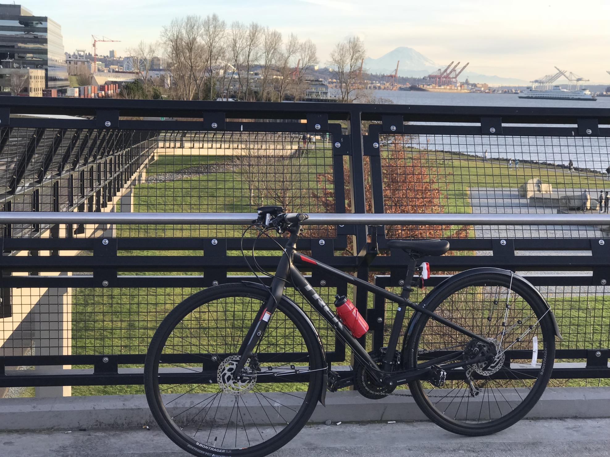 2017 Trek Black