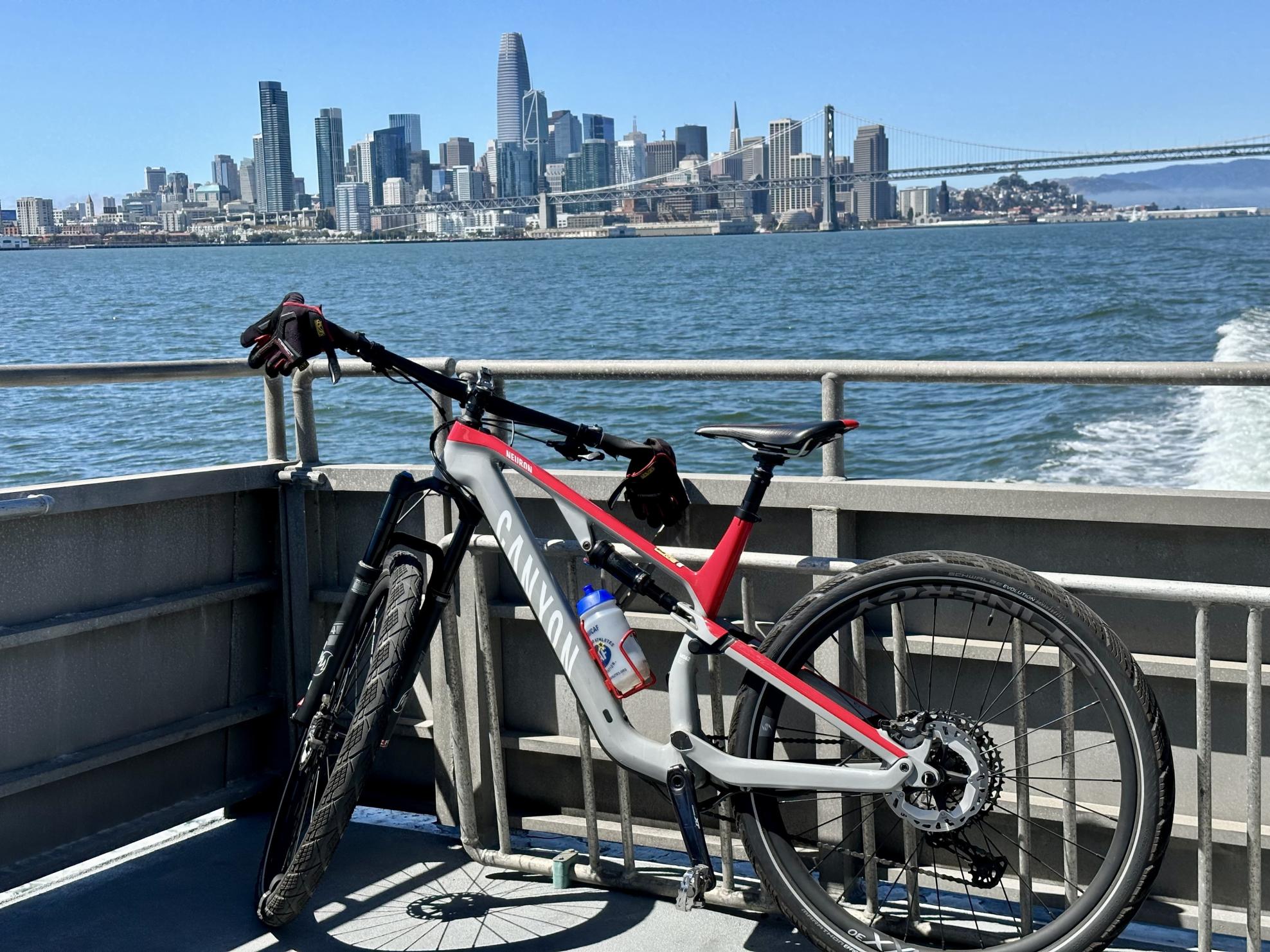 2021 Canyon bicycles NEURON CF8 Silver, gray or bare metal and Red