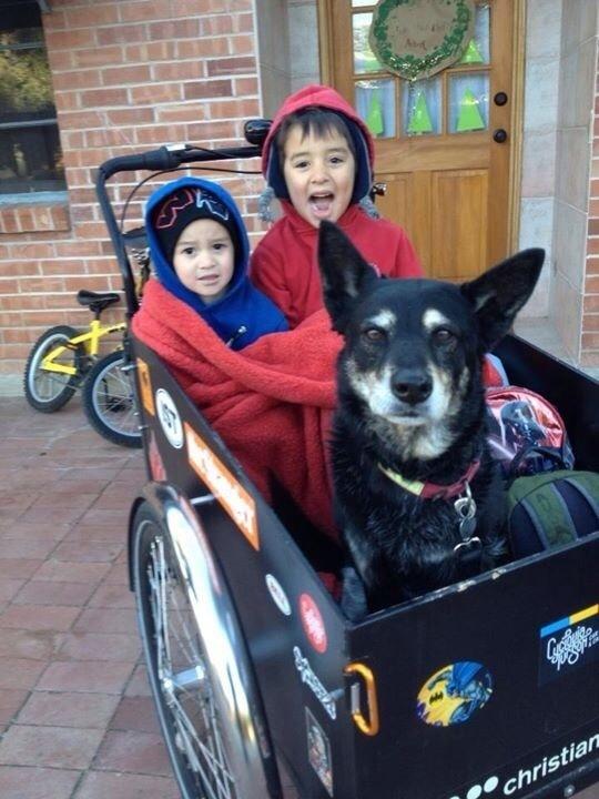 2012 Christiania Bikes cargo tricycle (front storage) Black