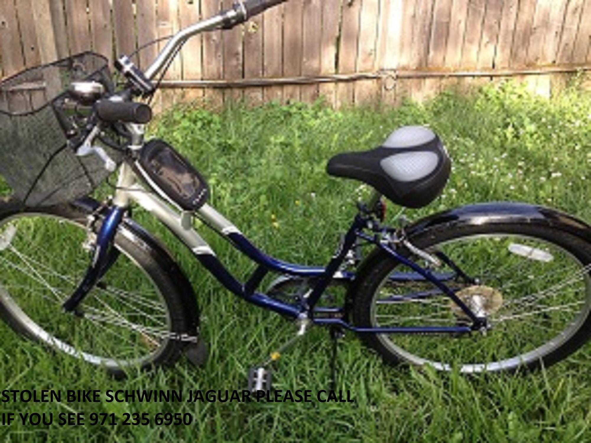 2006 Schwinn Jaguar  Black