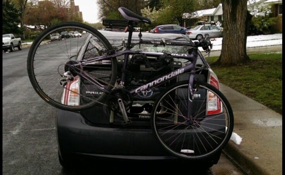 Cannondale Purple