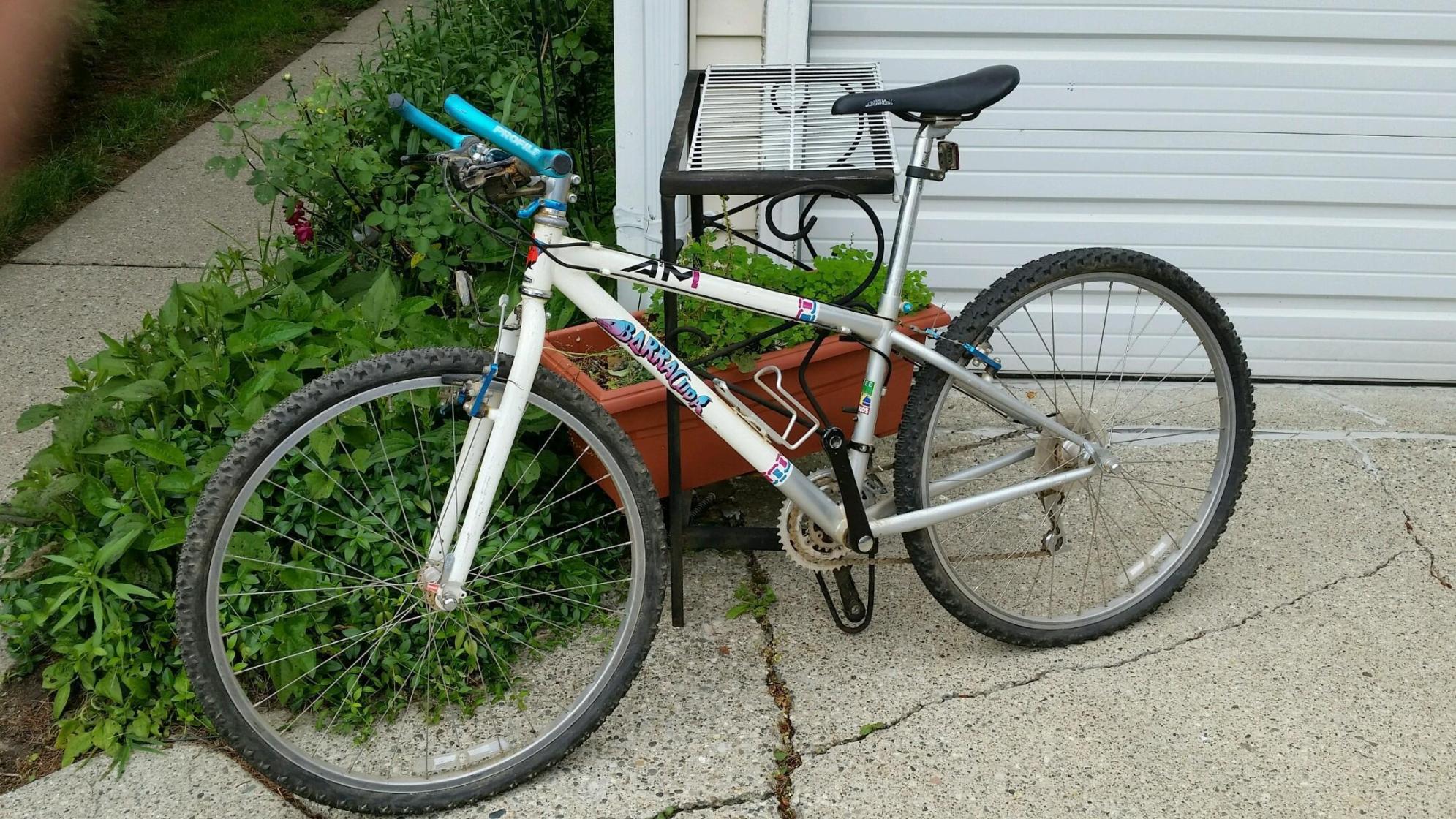 1994 Barracuda A2M Teal, White, and Silver or Gray