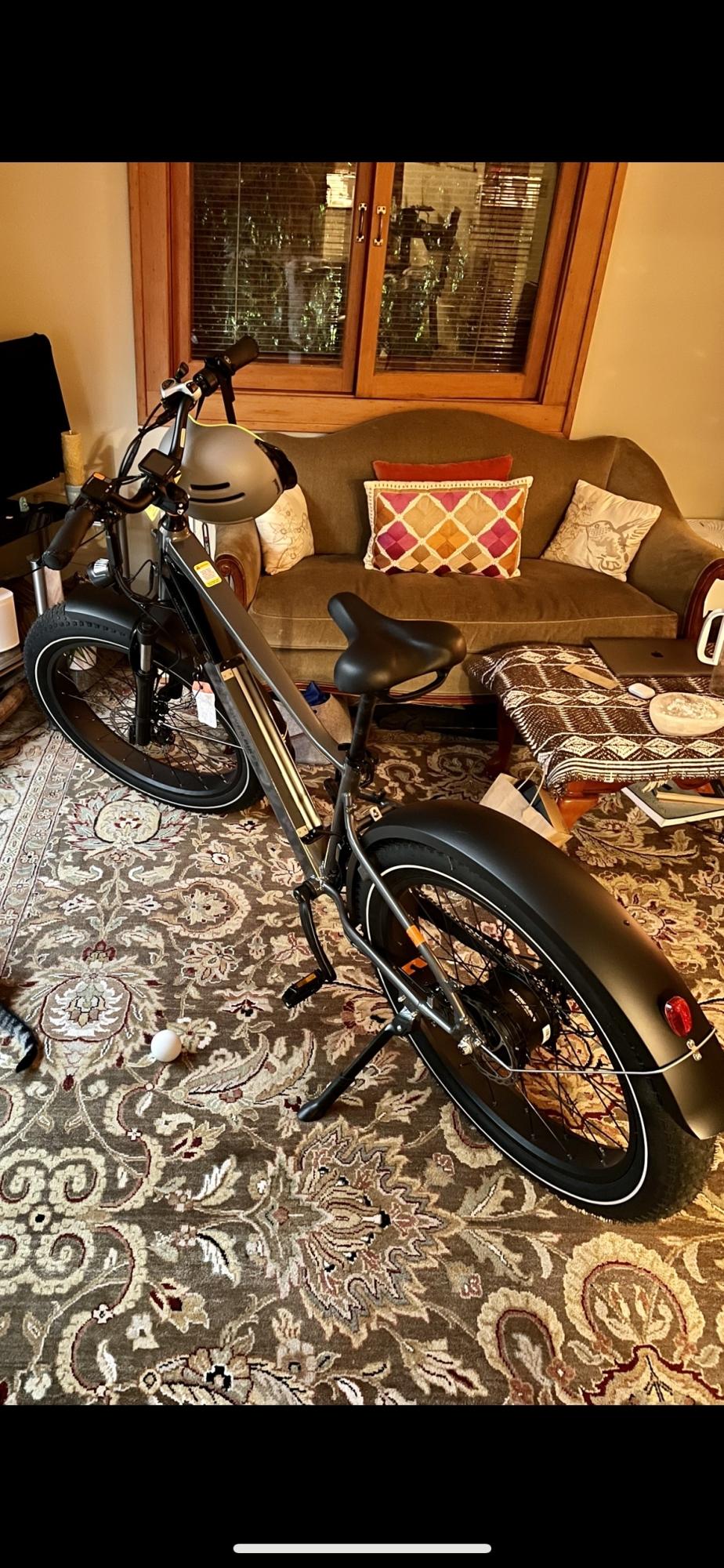 2022 Rad Power Bikes RadRover 6 Plus Silver, gray or bare metal