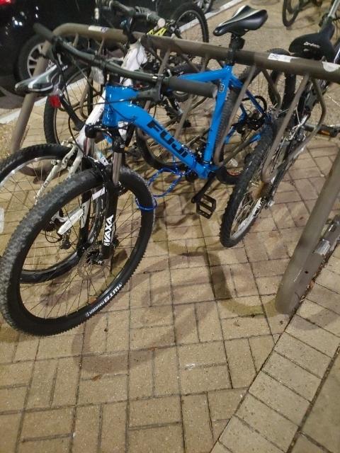 2021 Fuji Nevada 29 1.7 Blue