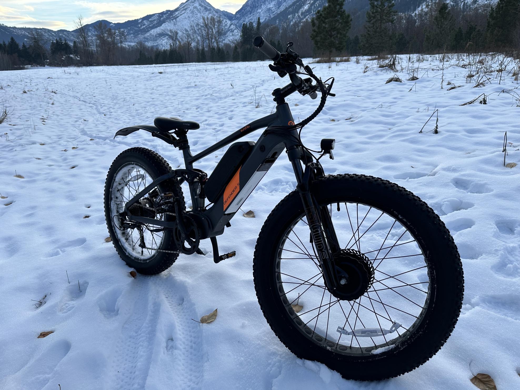 2022 Eunorau Defender S Silver, gray or bare metal