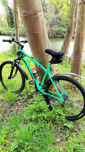2016 b'Twin Rockrider Green