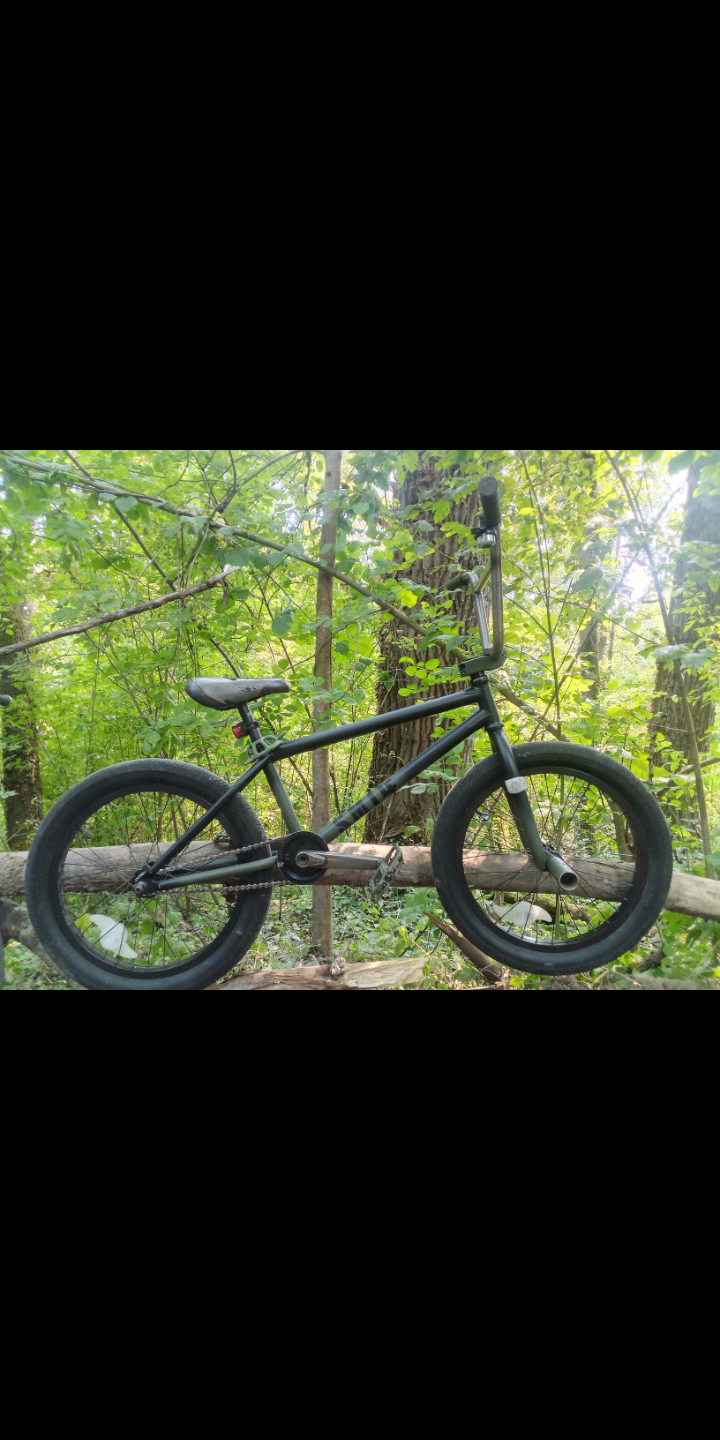 2022 Freedom Freedom/ Fit Black and Green