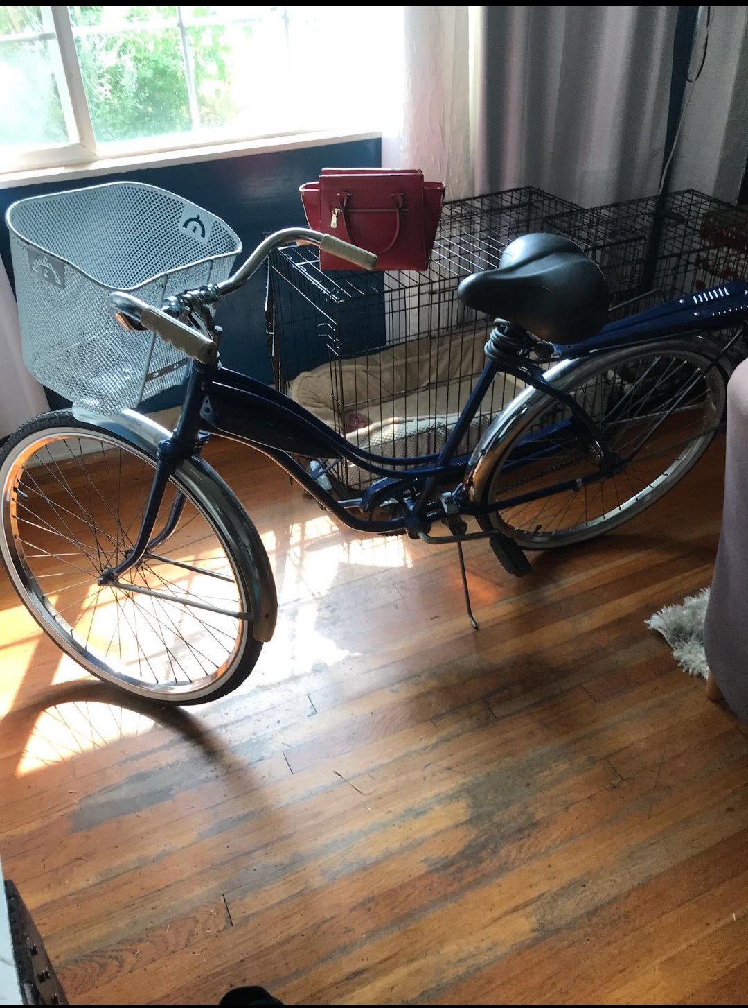 Other Cruiser Blue