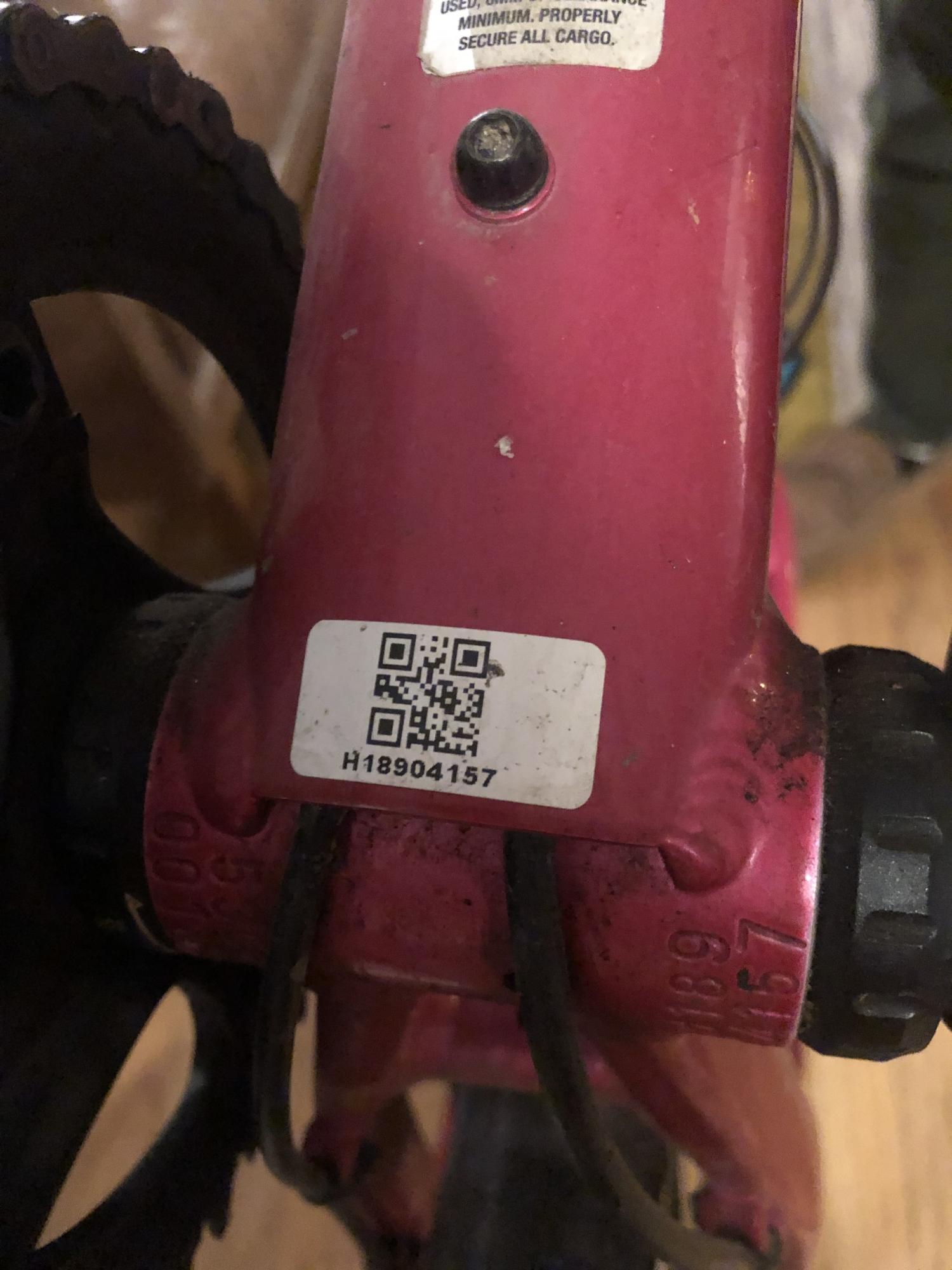 2019 Salsa Journeyman Pink