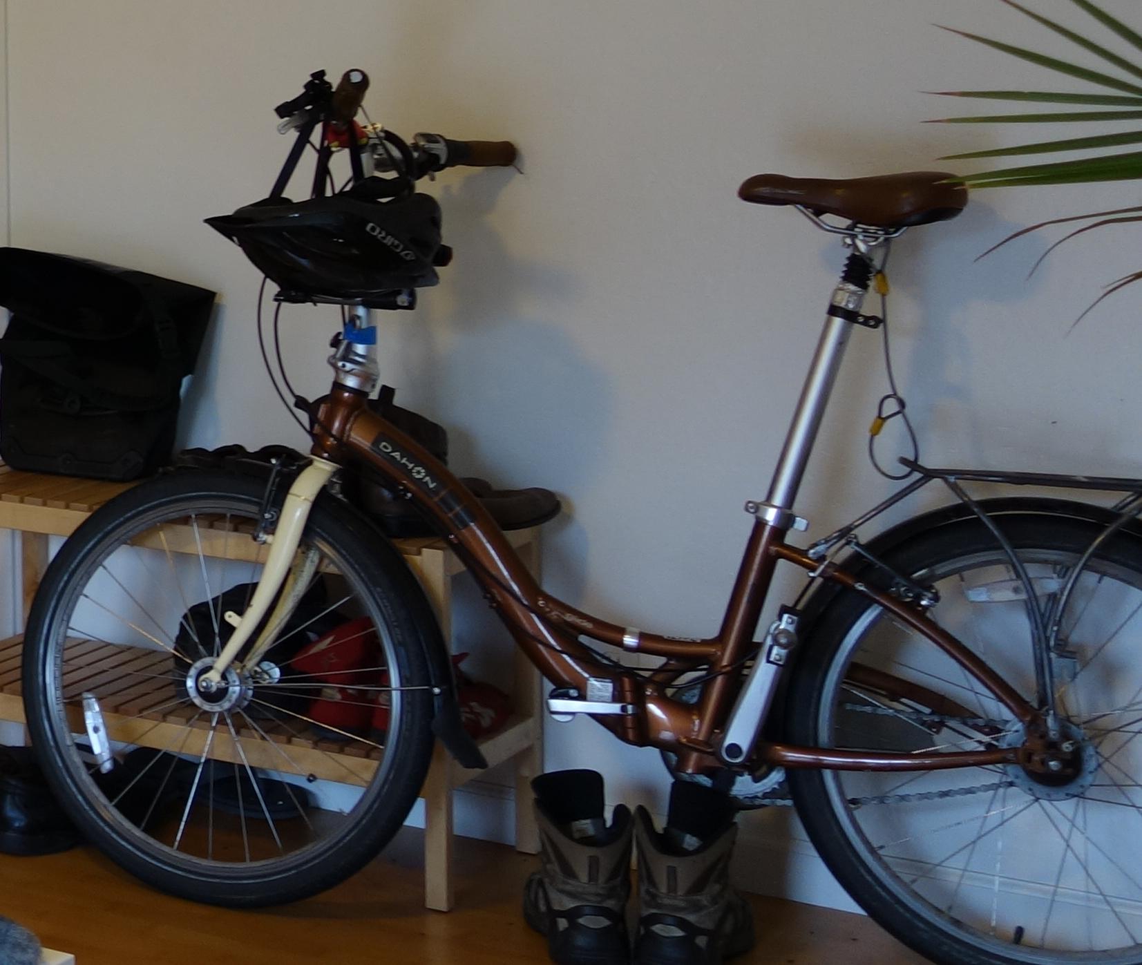 Dahon Limited edition but similar to GroundFloor.  Front fork is cream-colored.  Rear right chainstay was re-welded, has scorch marks.  Brown