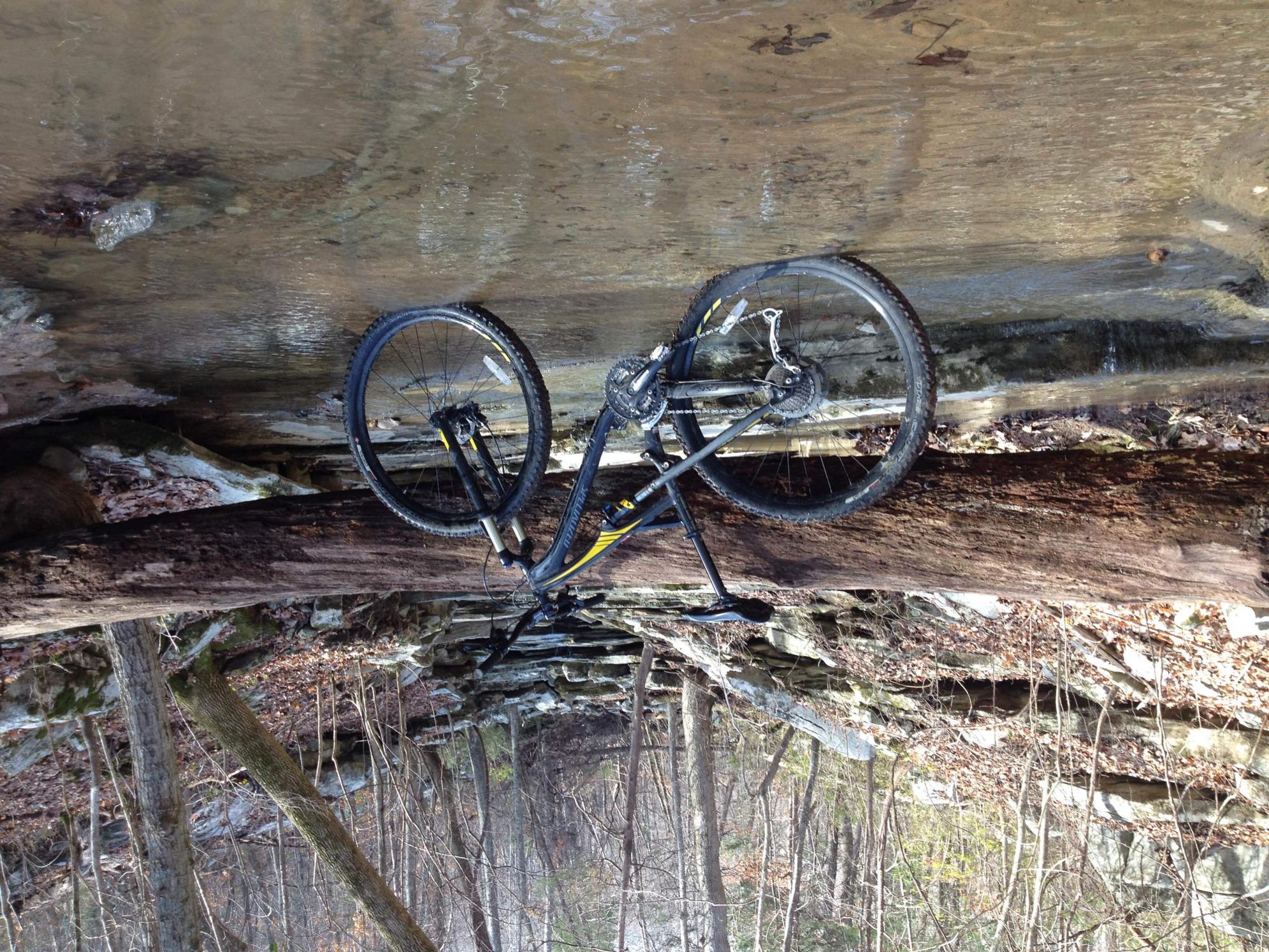 2016 Specialized Camber Black