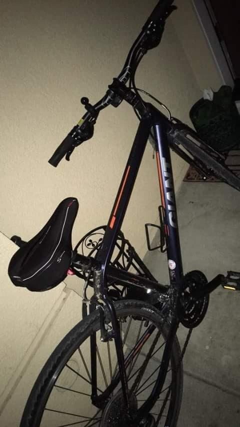 2015 Giant Escape Silver or Gray