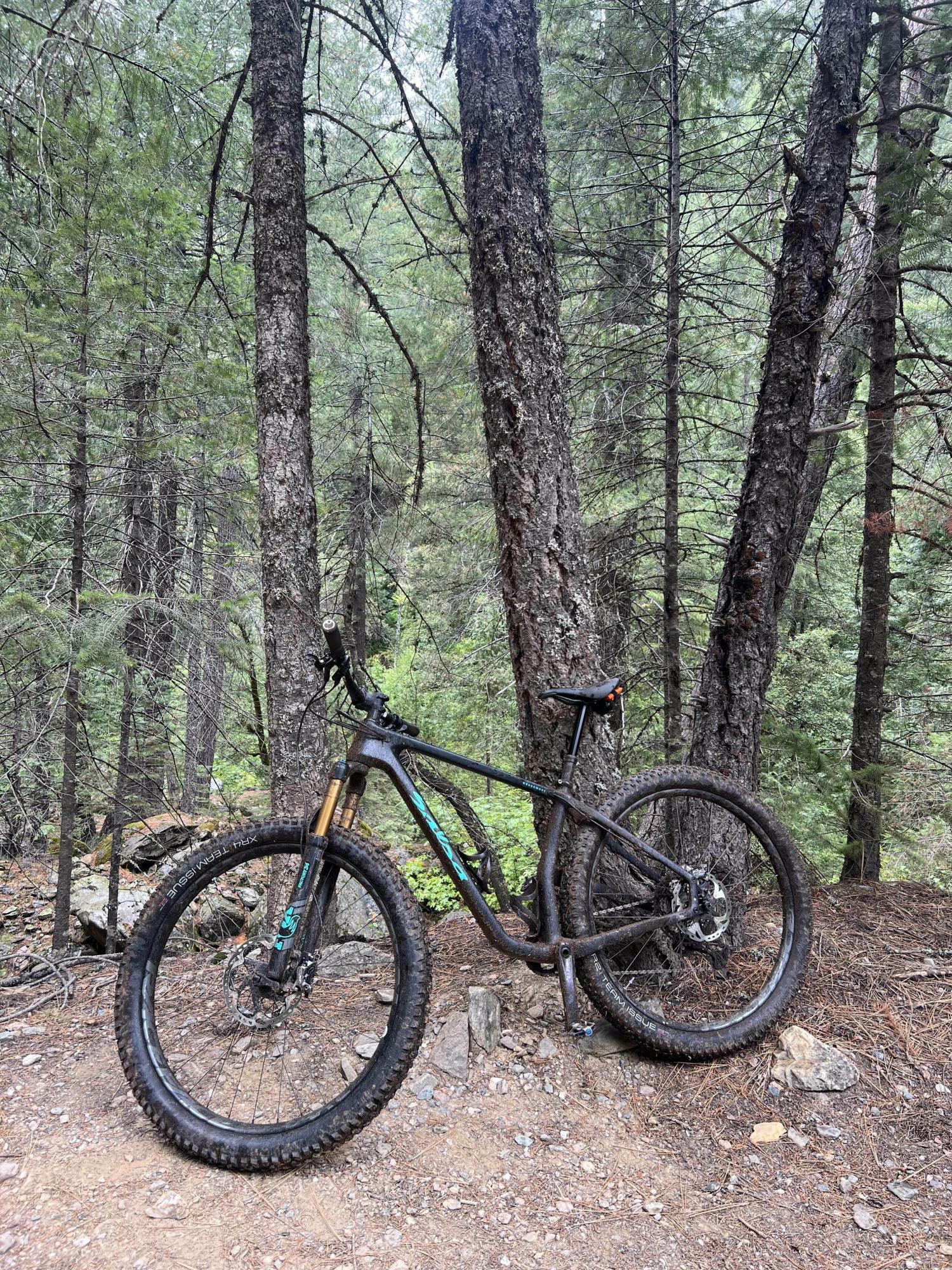 2018 Salsa Woodsmoke Black