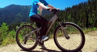 Specialized Hardrock Silver or Gray and Red