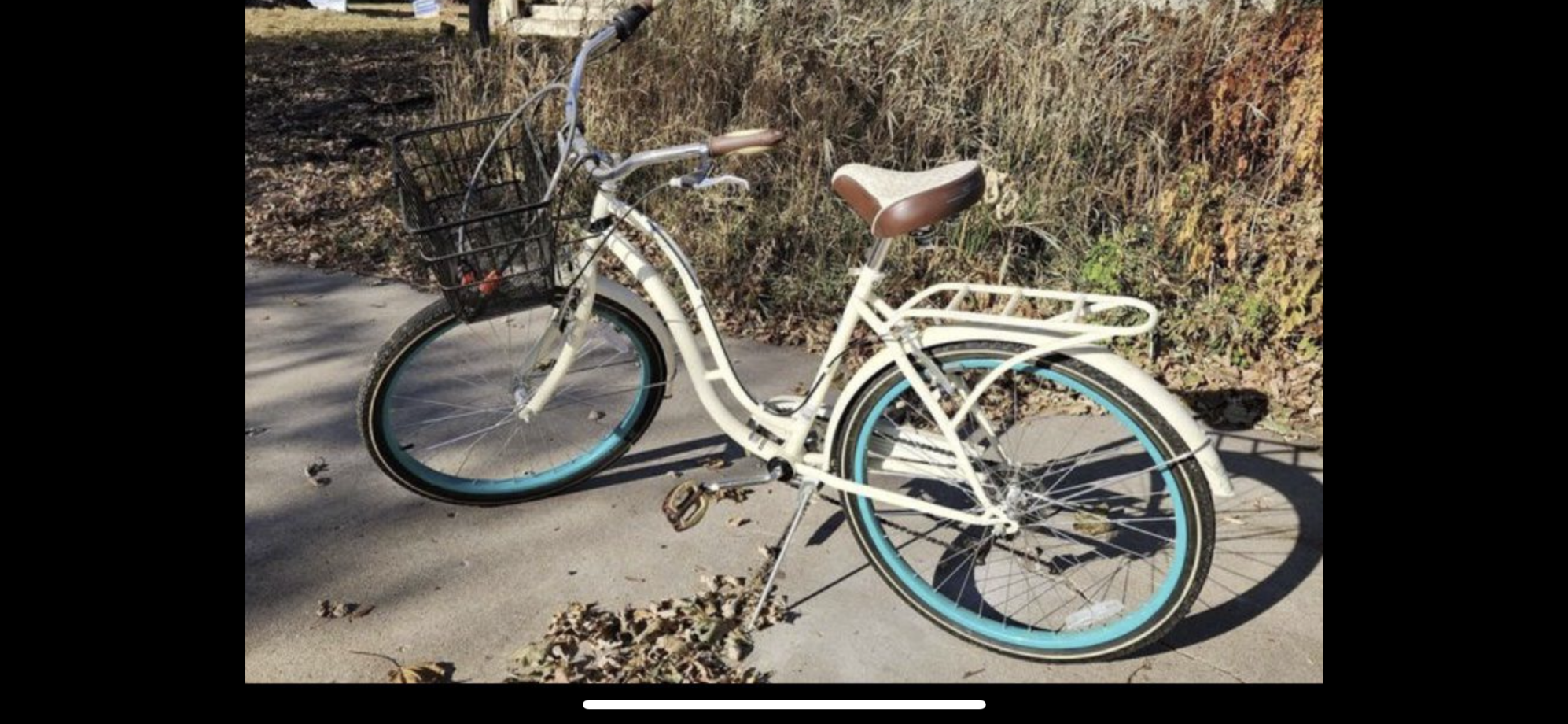 2019 Schwinn Fairhaven White, Teal, and Brown