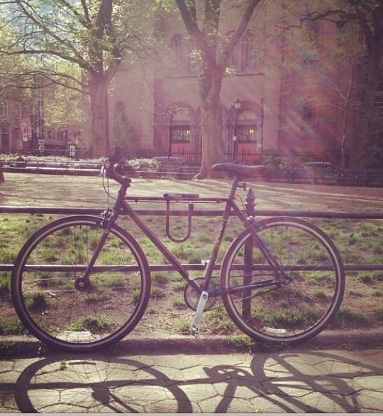 2010 Trek Earl  Black