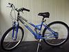 2008 Schwinn Cimmaron  Black