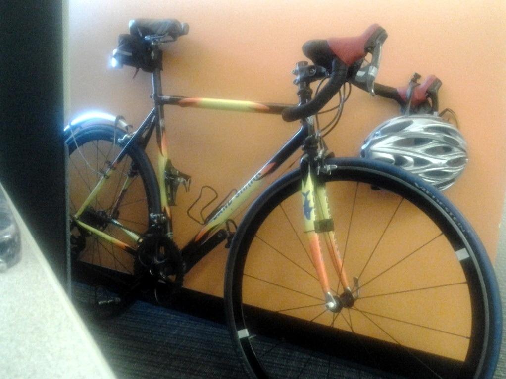 Landshark  Black