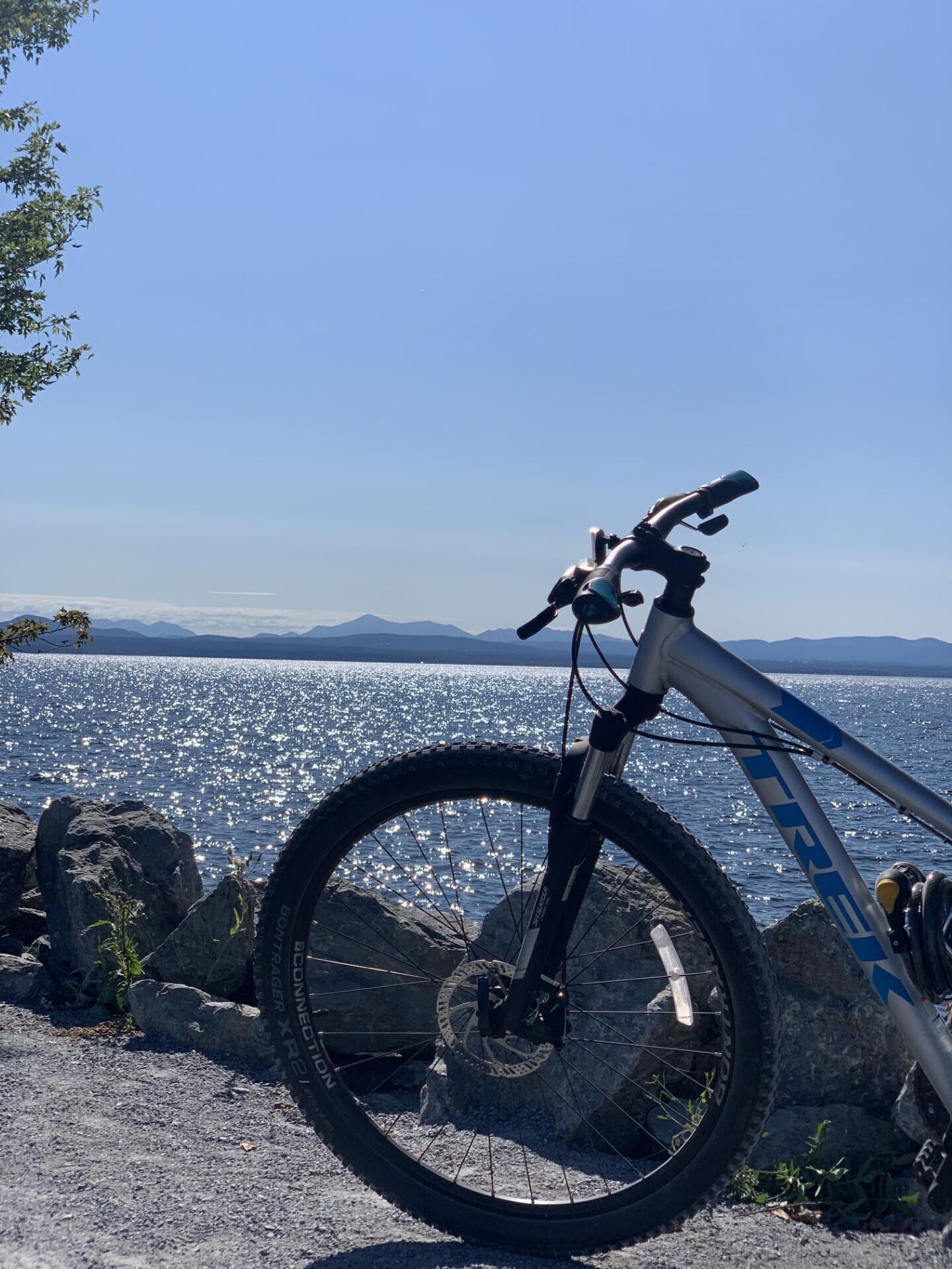 Trek alpha silver aluminum Silver, gray or bare metal and Blue