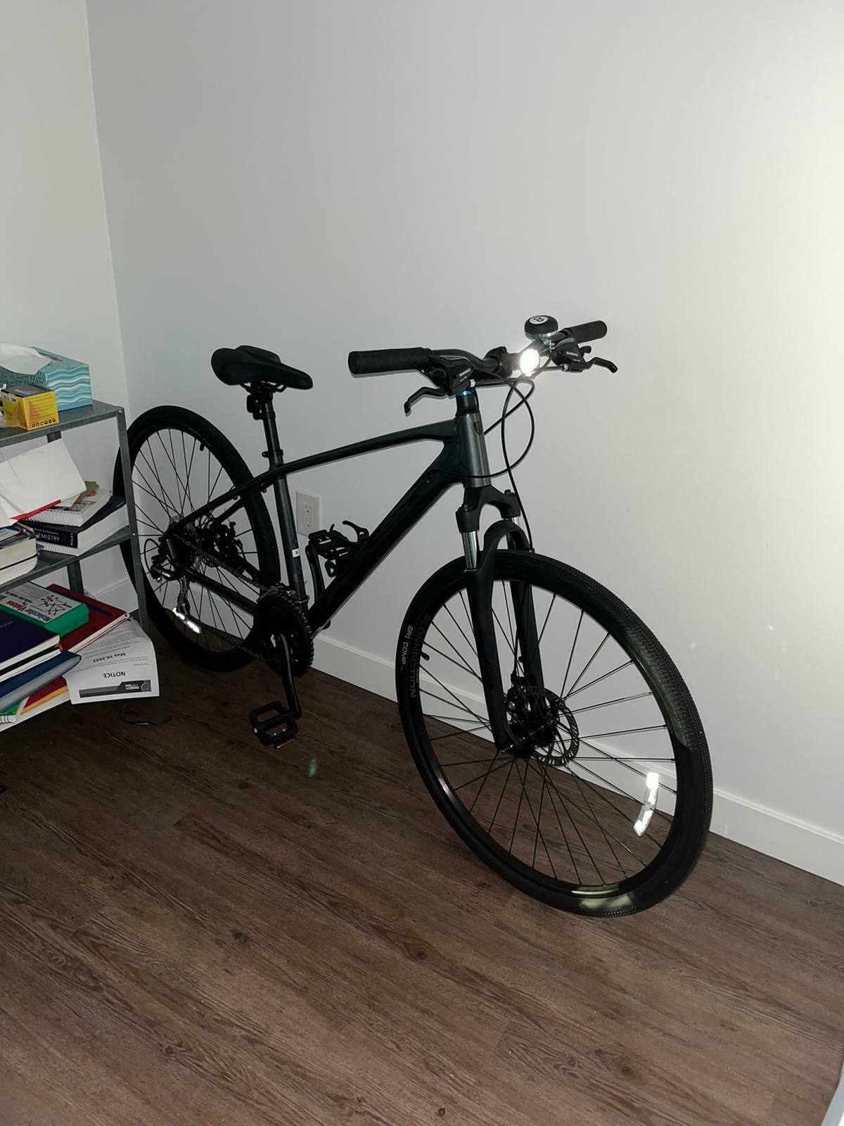 2022 Trek Dual Sport Silver, gray or bare metal