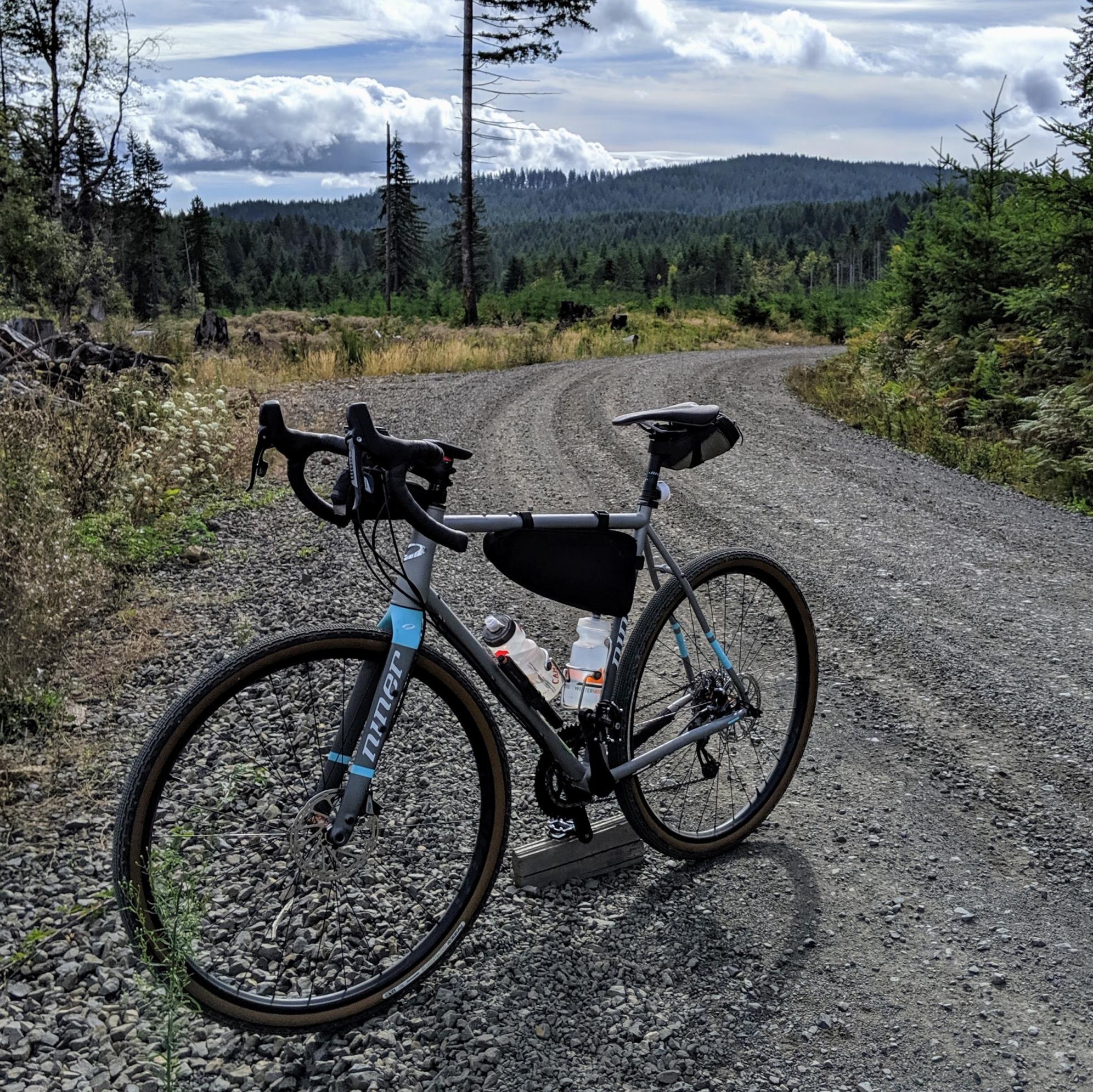 2018 Niner RLT Steel Silver, gray or bare metal