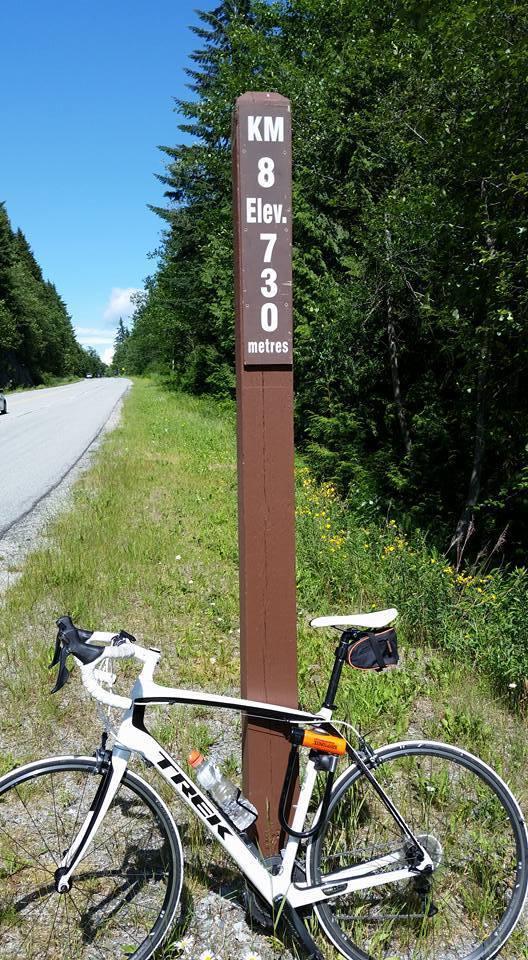 2014 Trek Domane 4.7 White