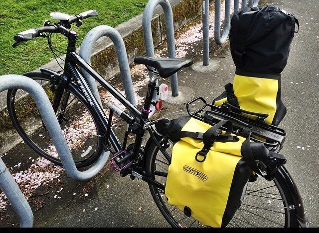 2015 Trek 7.3 FX Black