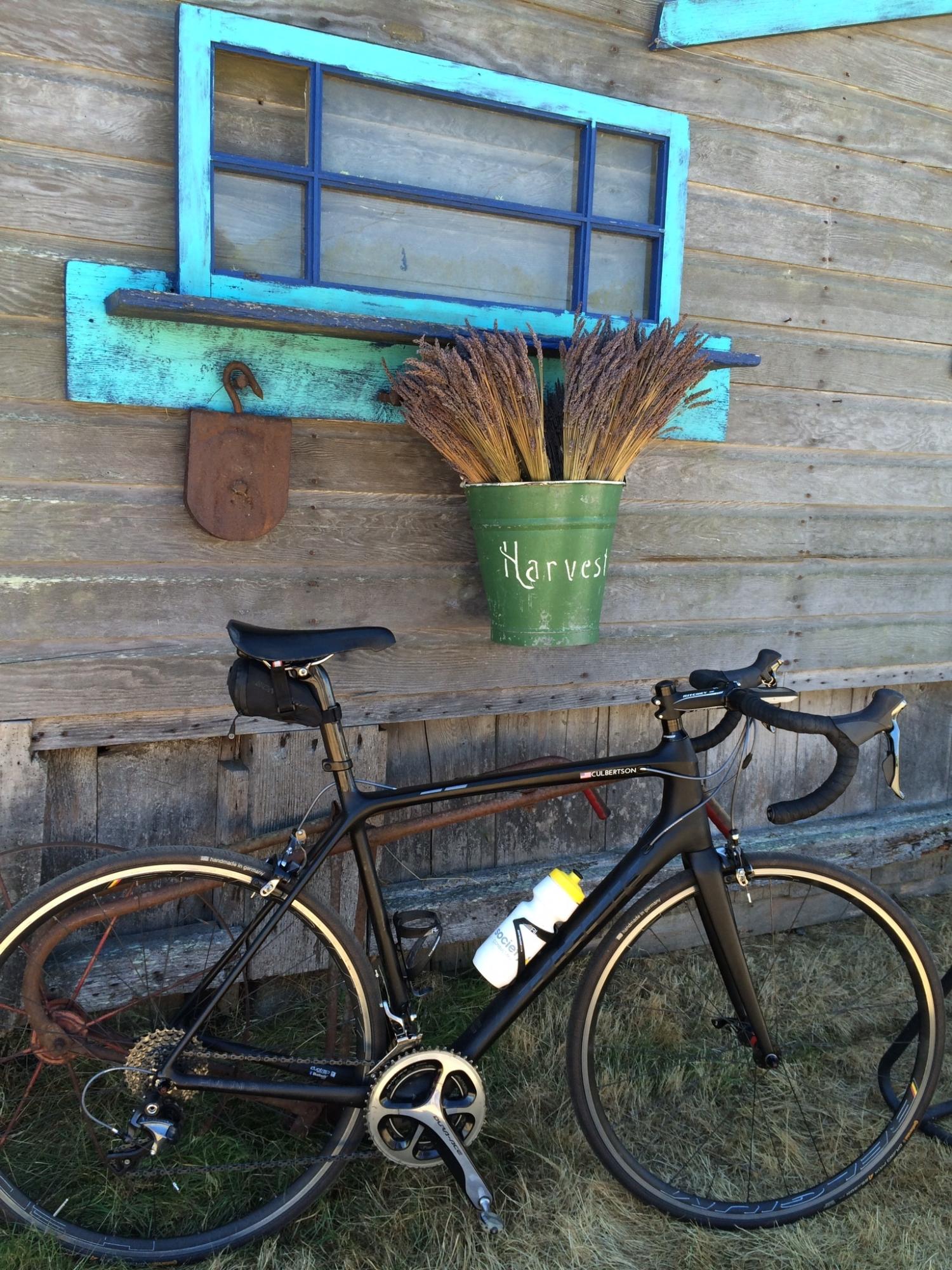 2015 Trek Emonda Black