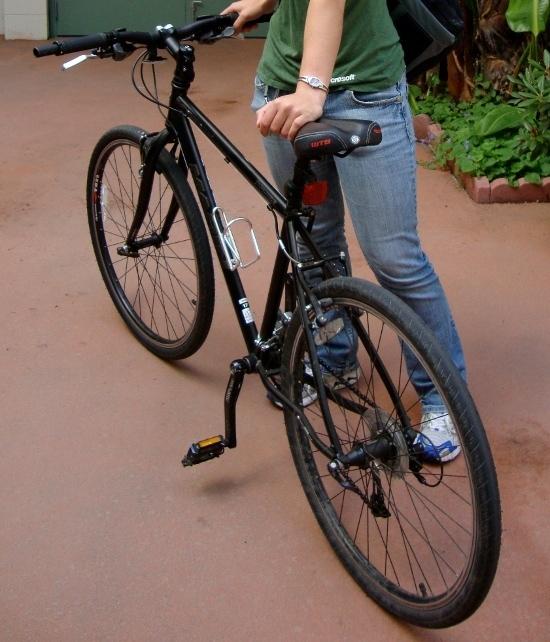 2008 Marin Bikes Muirwoods  Black