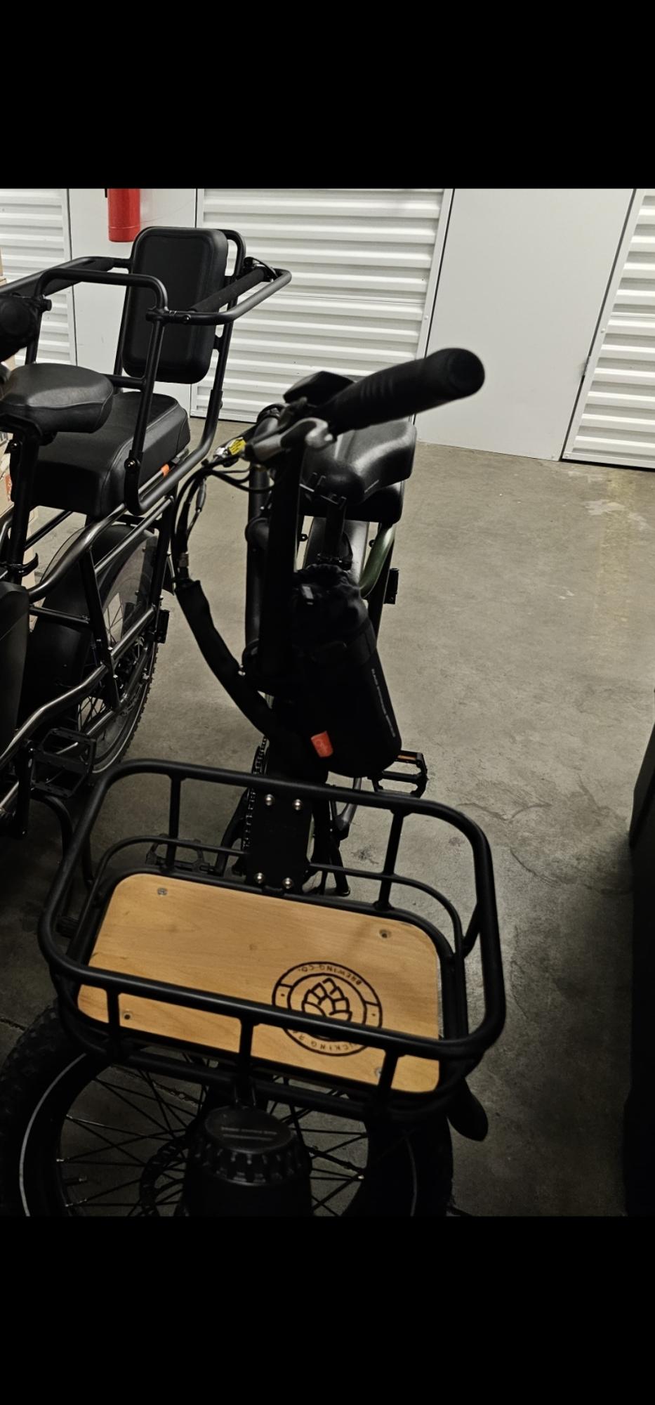 Rad Power Bikes Rad runner 2 Green