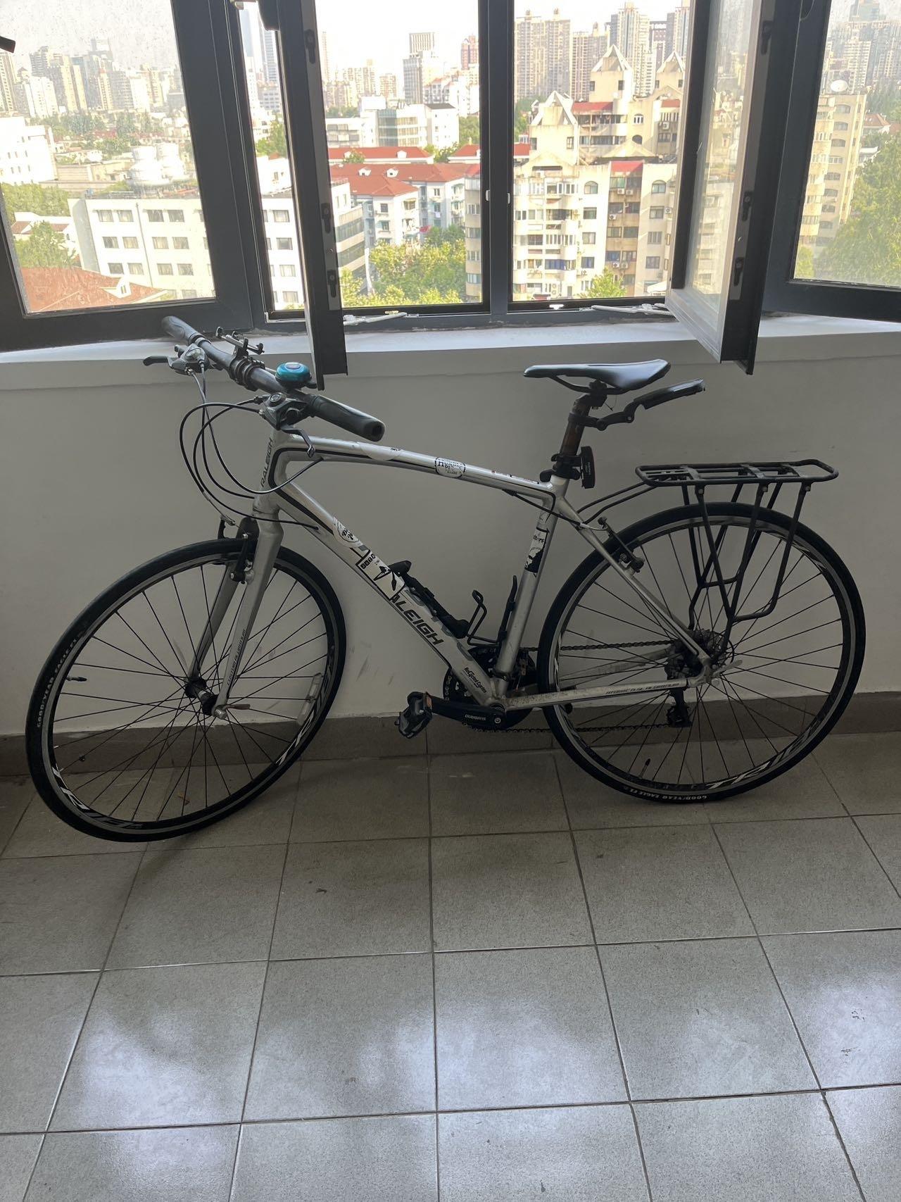 2005 Raleigh Silver, gray or bare metal