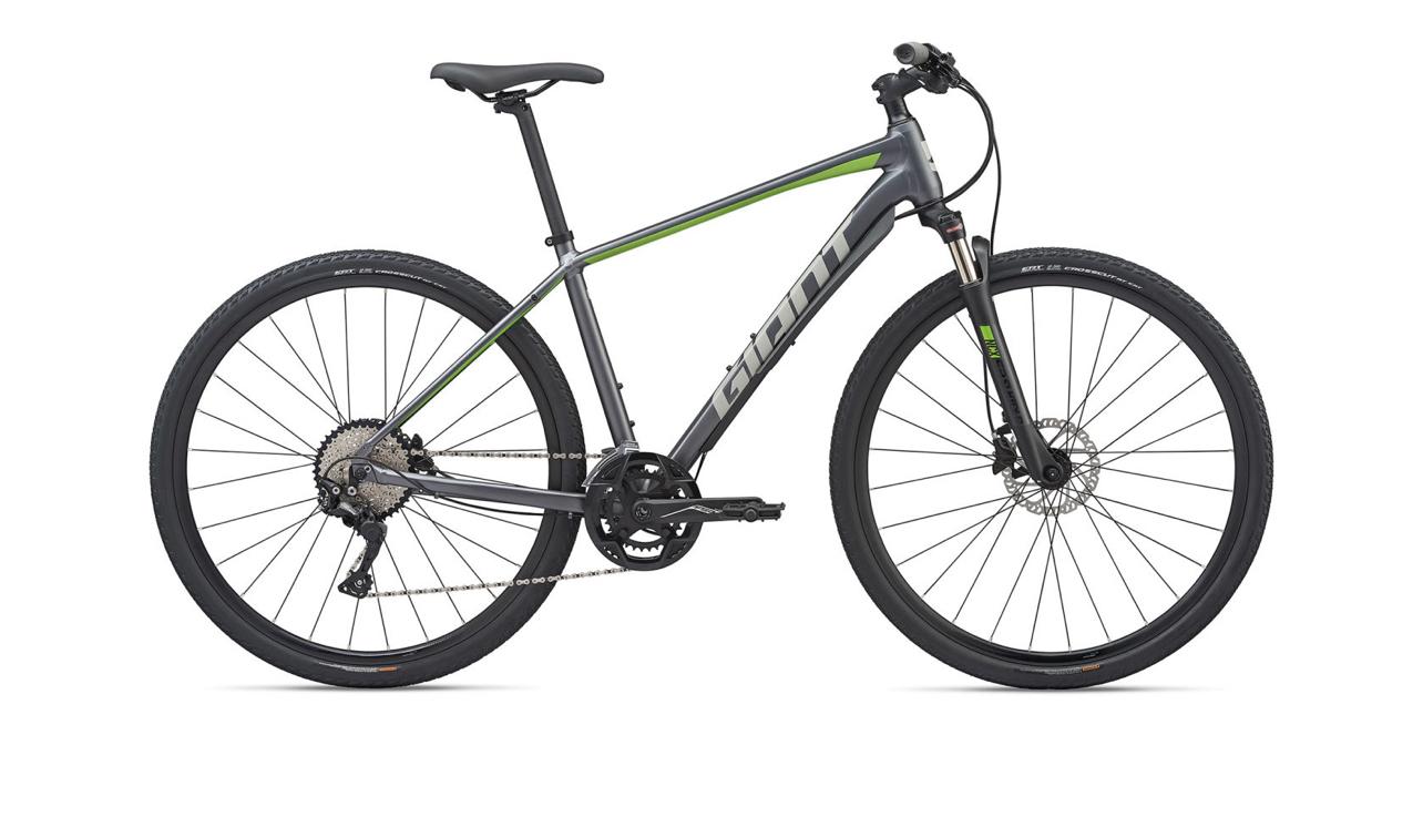 2020 Giant Roam 1 Silver, gray or bare metal, Green, and Silver, gray or bare metal