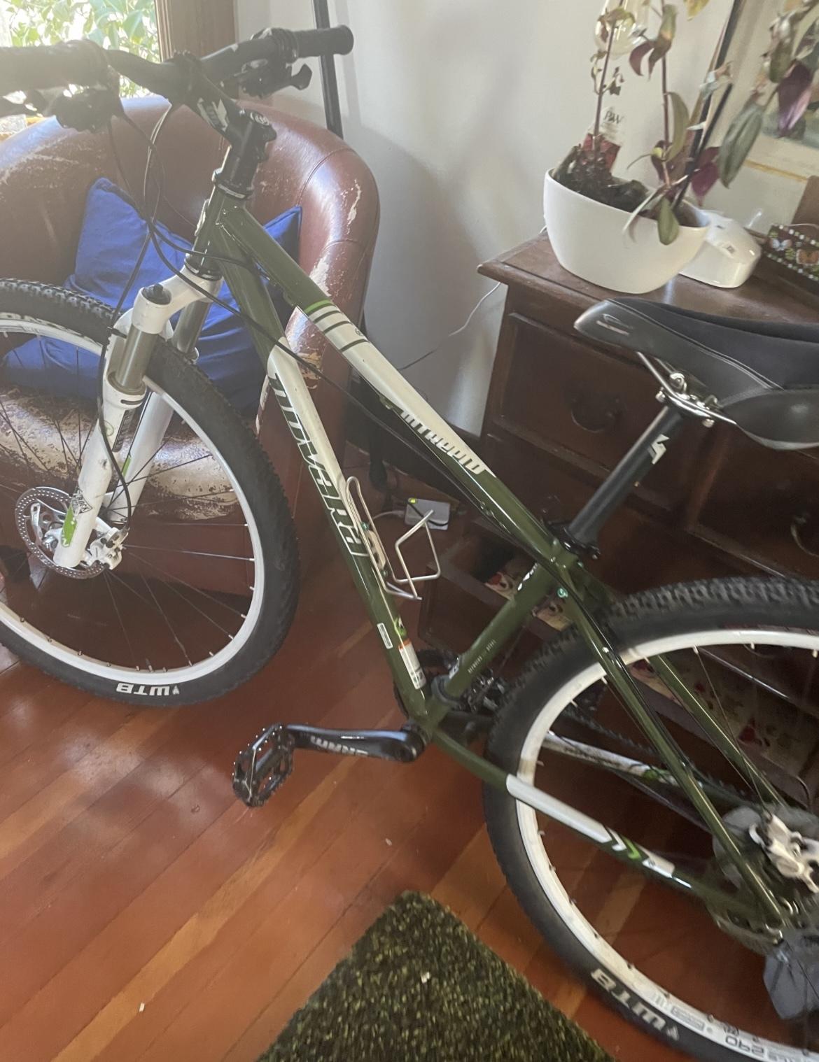 2013 Novara Intrepid 29er Green