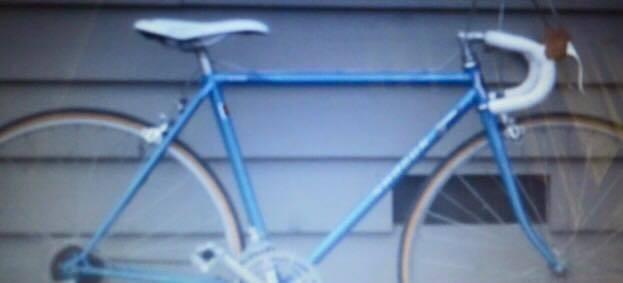 1986 Shogun shimano Blue