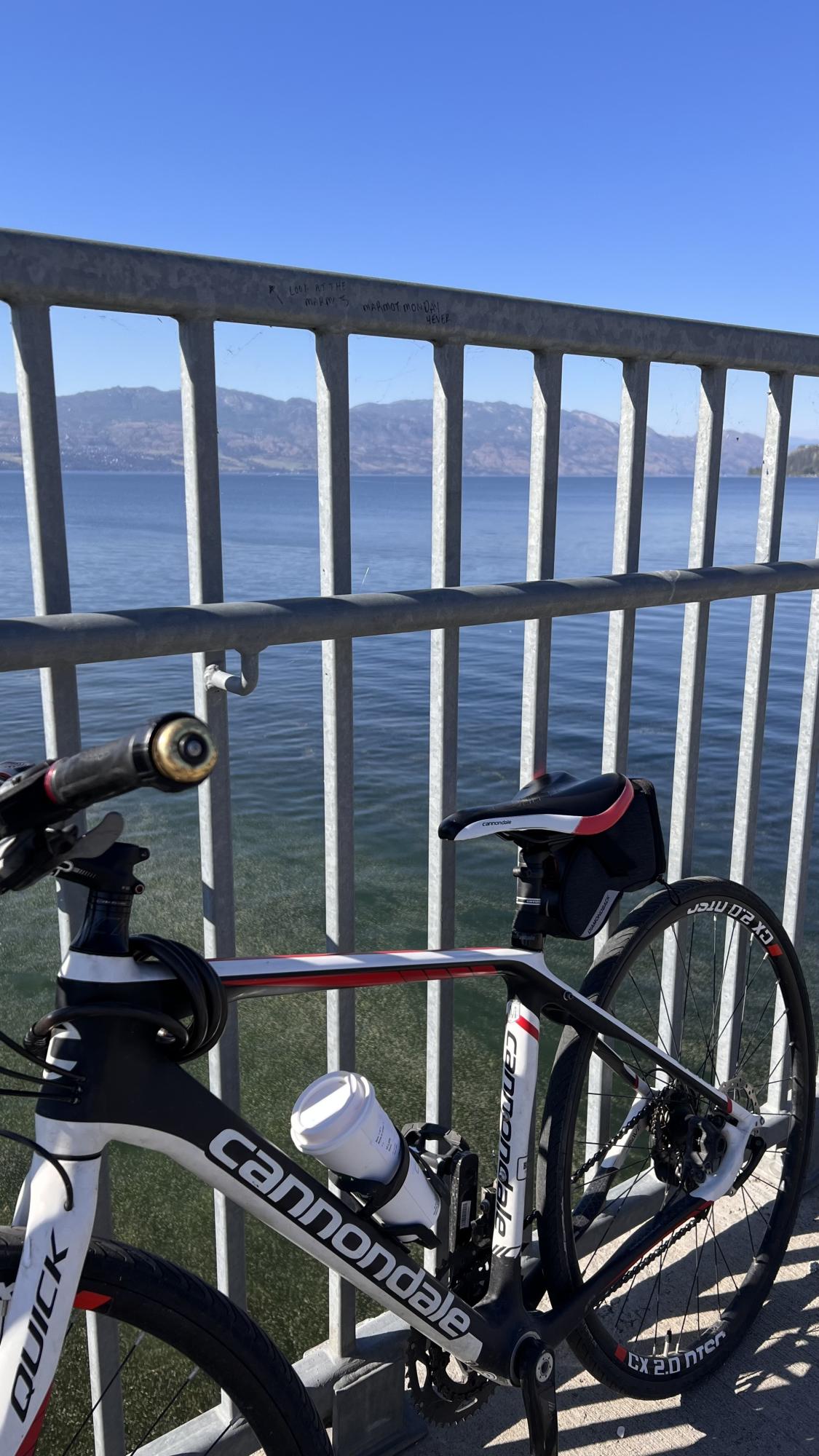 2017 Cannondale Quick carbon 2 White, Black, and Red